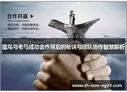 魔鸟与老马成功合作背后的秘诀与团队协作智慧解析