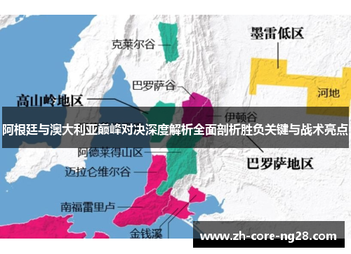 阿根廷与澳大利亚巅峰对决深度解析全面剖析胜负关键与战术亮点