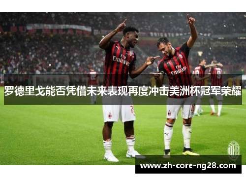 罗德里戈能否凭借未来表现再度冲击美洲杯冠军荣耀